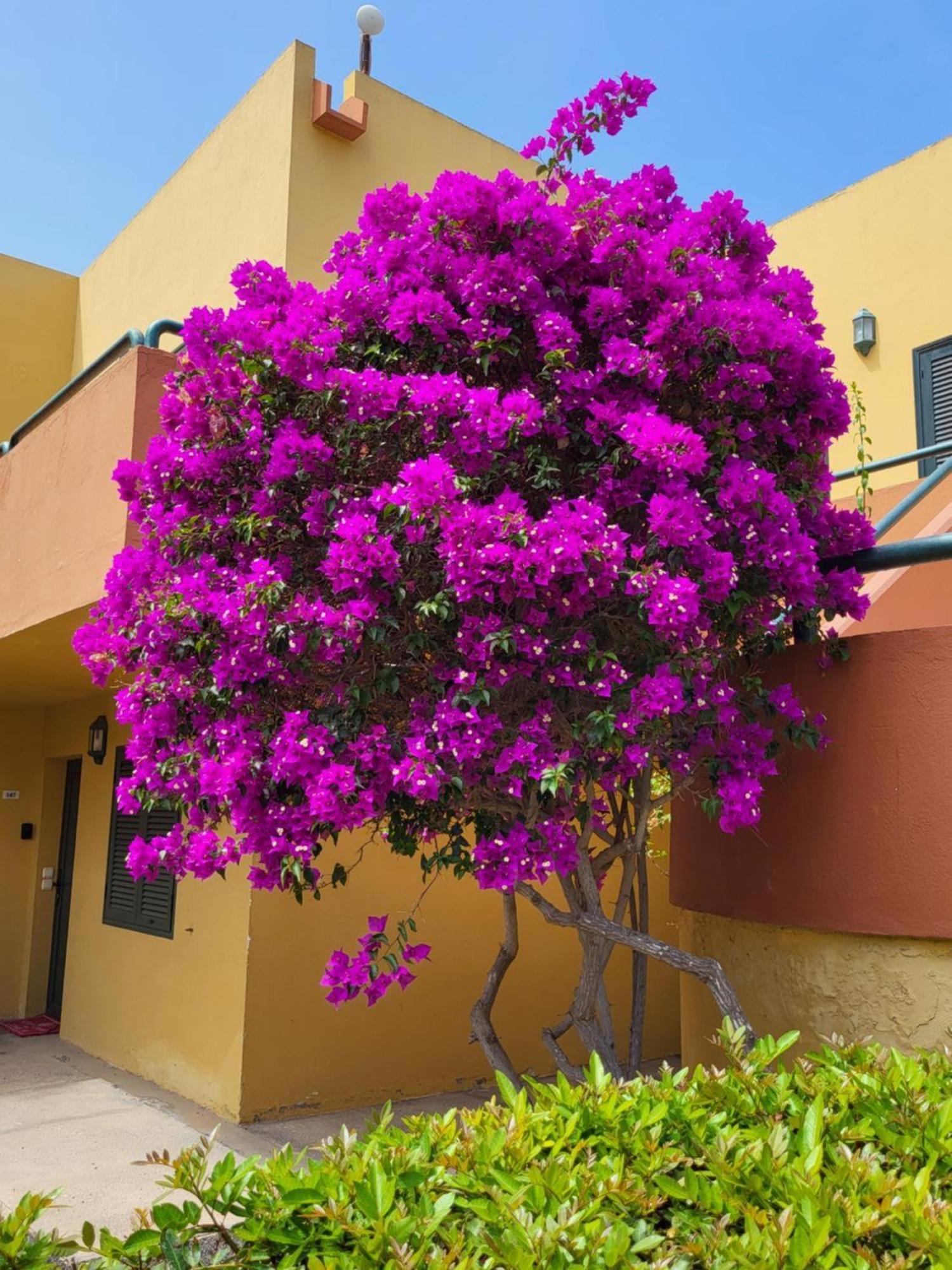 Casa del Caballero Corralejo Esterno foto